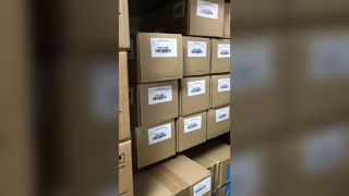 Xerox Original Transferwalzeneinheit 019K16290