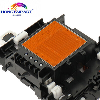 Name
