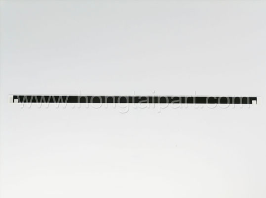 Name