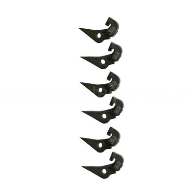 Name
